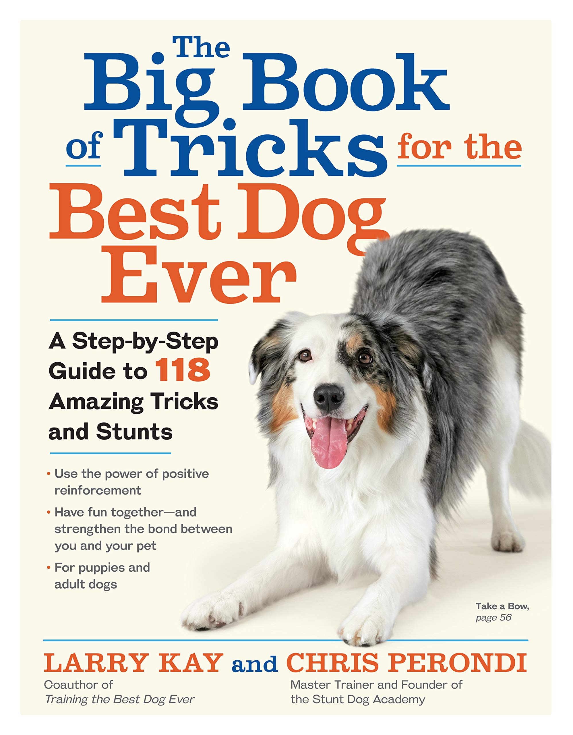 the big book of tricks for the best dog ever flyer