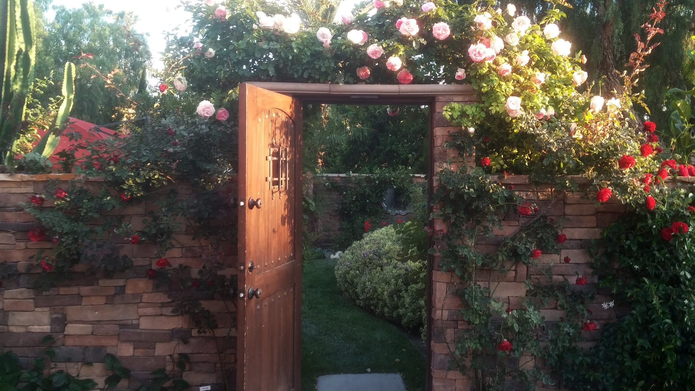 door leading into a garden with roses all around it