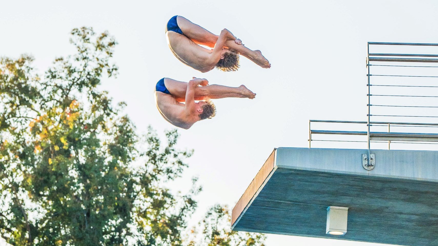 Nadadores synchronized dive