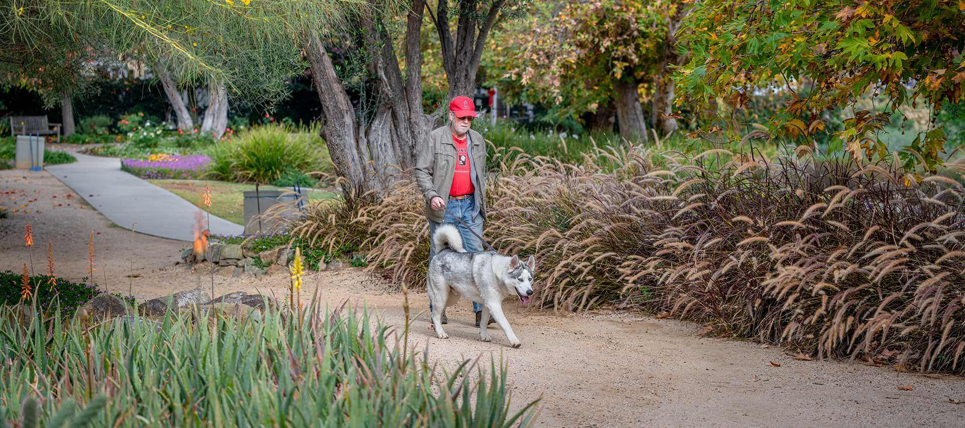 man walking a dog on trail