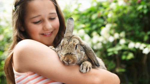 ""Love Your Pet Bunny