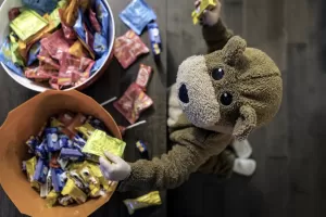 Small child in a bear costume taking candy from bowls