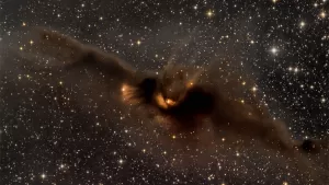 Bat Nebula LDN 43