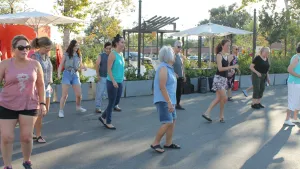 People Line Dancing in a parking lot.