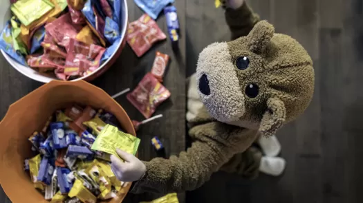 Small child in a bear costume taking candy from bowls