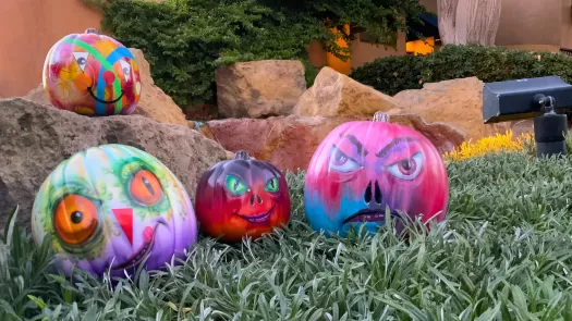 Painted Pumpkins on grass