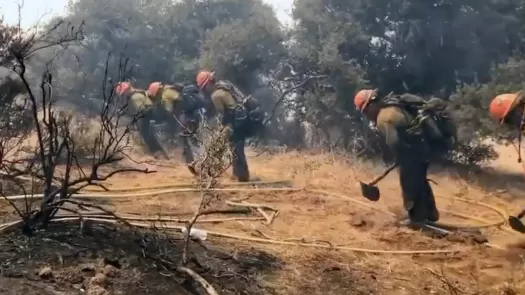 firefighters cutting wildfire break