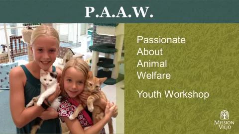 Passionate about animal welfare youth workshop