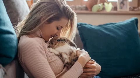 bunny on mom's lap