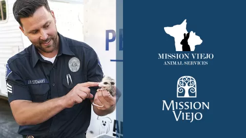 animal services officer holding a small animal