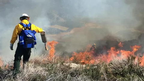 firefighter fighting wild fire
