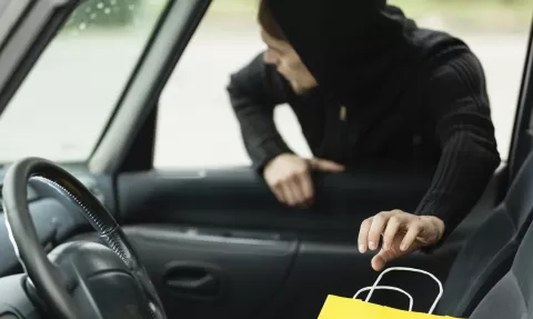 person stealing shopping bag from car