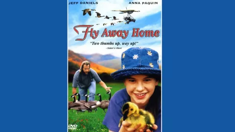 Fly away home movie poster