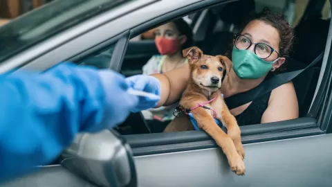 people in car with dog