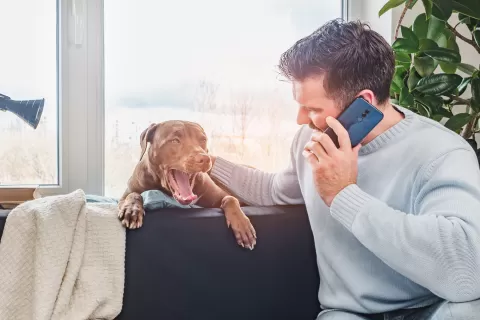man-on-phone-with-dog