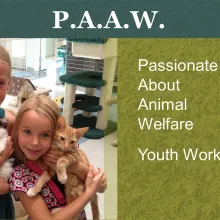Passionate about animal welfare youth workshop