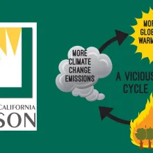 graphic of cycle of climate change