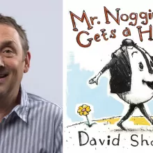 Mr. Nogginbody Gets a Hammer book cover and david shannon