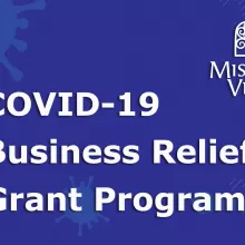 covid-19 business relief program