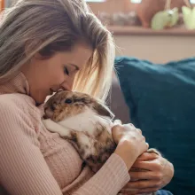 bunny on mom's lap
