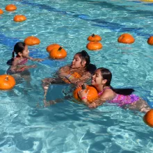 pumpkin diving