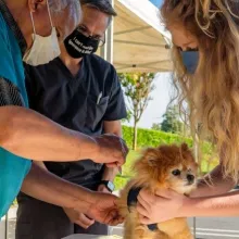 pet vaccination clinic