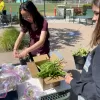 Teens planting succulents