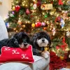 dogs on couch in front of christmas tree