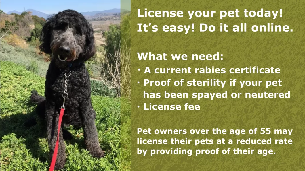 License your pet online today