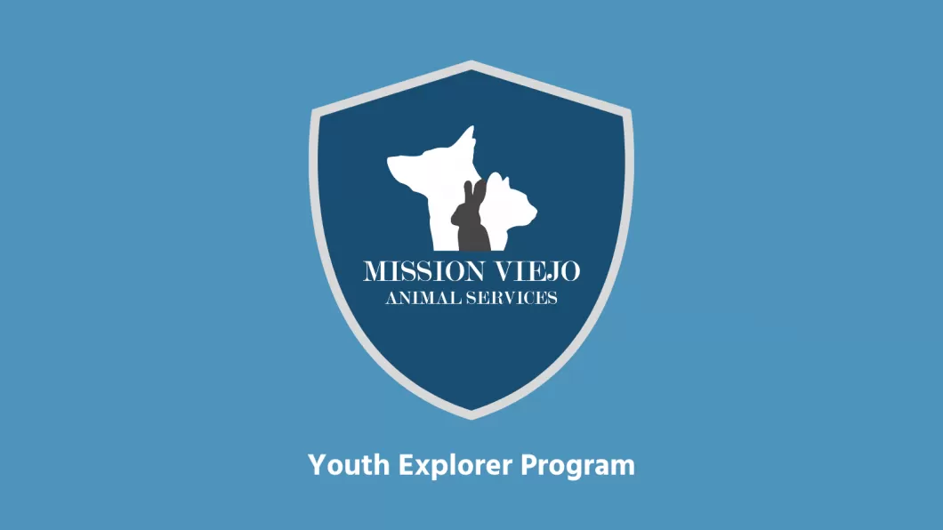youth explorer